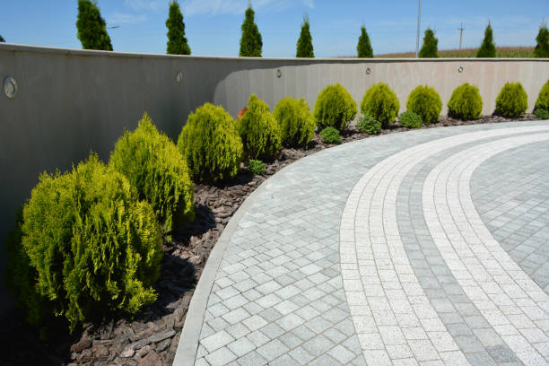 Best Driveway Pavers Installation  in Ozark, MO